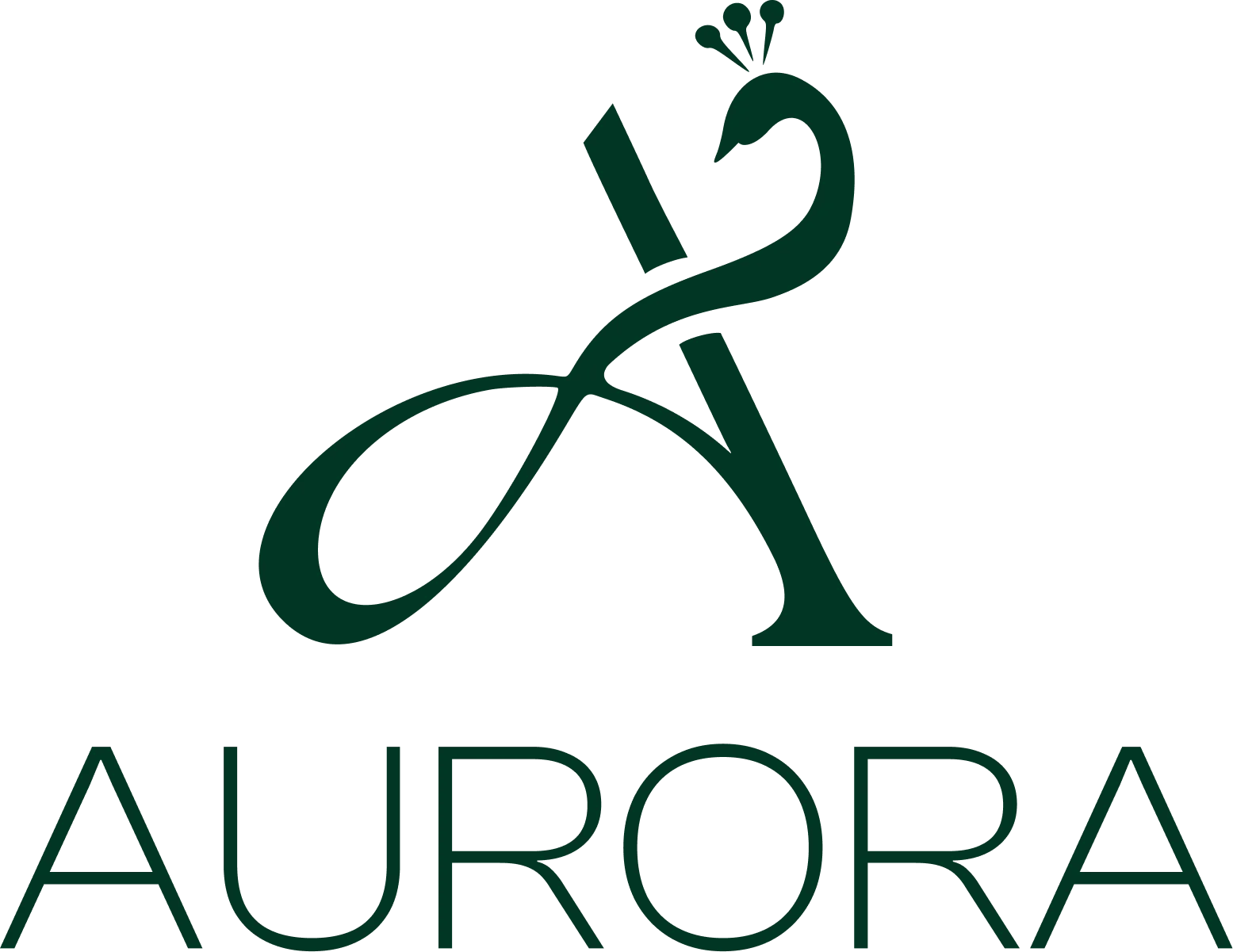 Aurora Jewel Studio